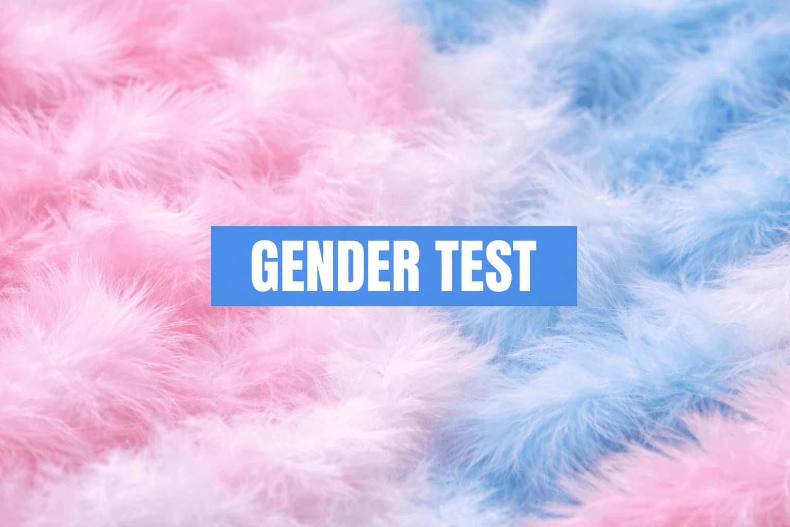 Feather DNA Gender Test for Poultry | Flock Forensics